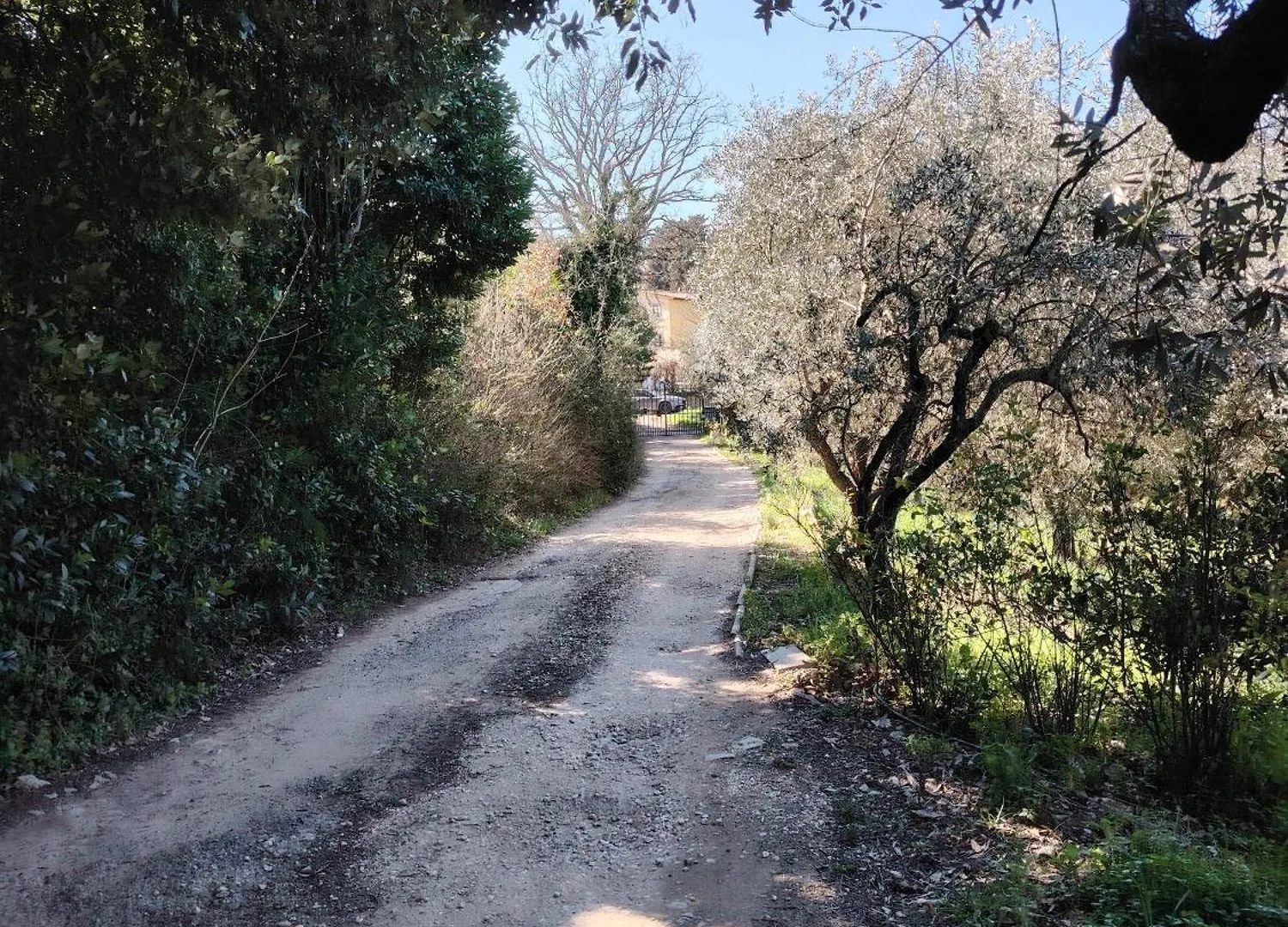 Campernellanaturainfirenze Luxury tent Florence