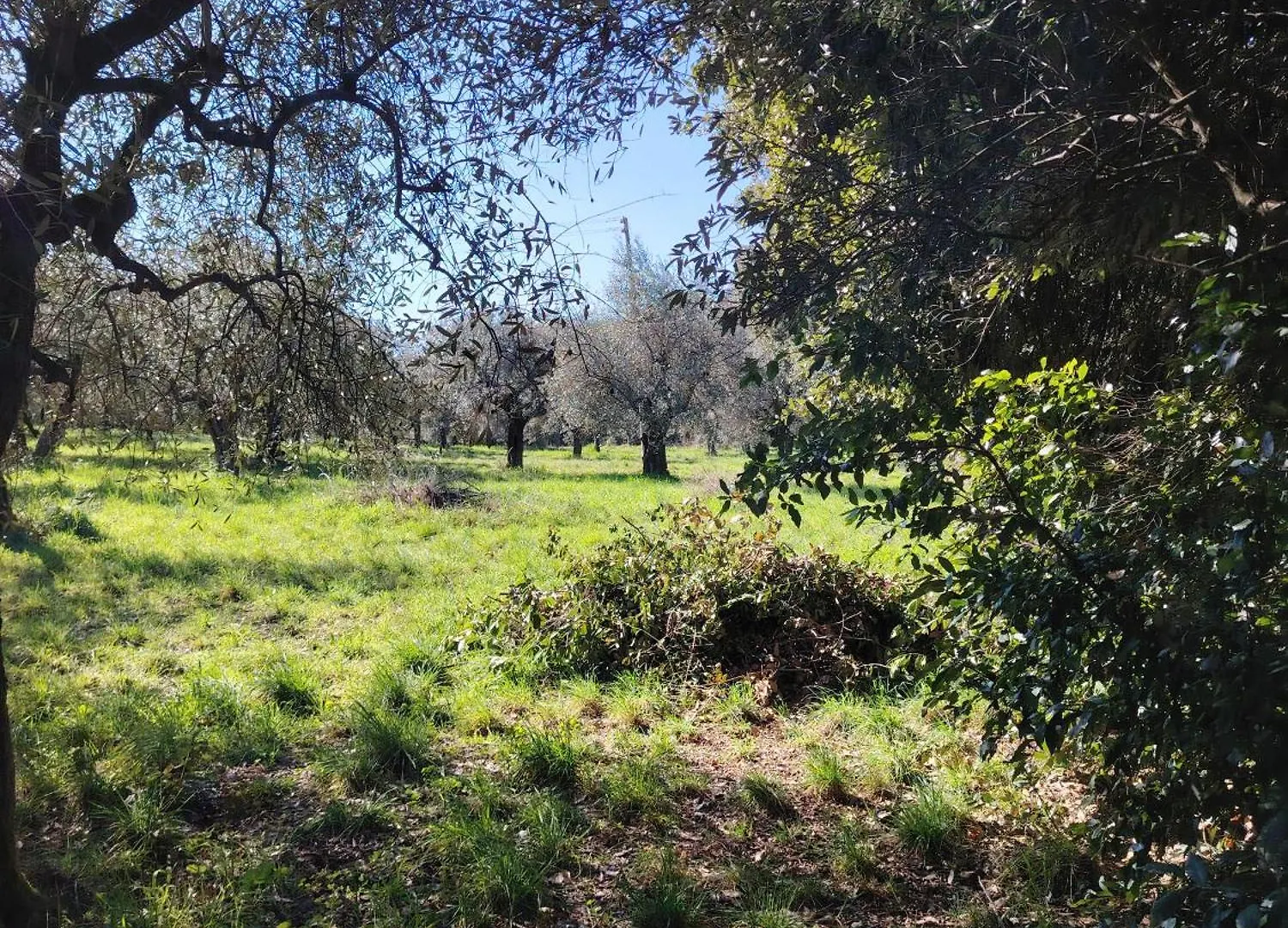 Luxusní stan Campernellanaturainfirenze Itálie